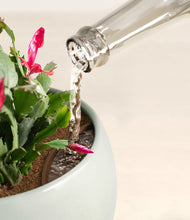 Load image into Gallery viewer, -