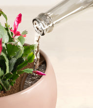 Load image into Gallery viewer, -