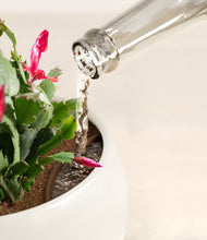 Load image into Gallery viewer, -