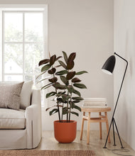 Load image into Gallery viewer, Earth Red