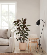 Load image into Gallery viewer, Sandy Pink