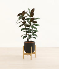 Load image into Gallery viewer, Stone Black stand:bamboo