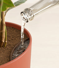 Load image into Gallery viewer, Earth Red stand:all