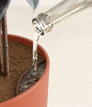 Load image into Gallery viewer, Earth Red stand:all