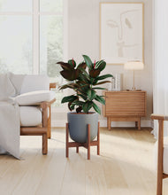 Load image into Gallery viewer, Iron Gray stand:walnut