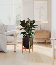 Load image into Gallery viewer, Stone Black stand:bamboo