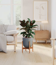 Load image into Gallery viewer, Iron Gray stand:bamboo