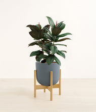 Load image into Gallery viewer, Iron Gray stand:bamboo