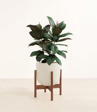 Load image into Gallery viewer, Natural Bamboo stand:walnut