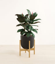 Load image into Gallery viewer, Stone Black stand:bamboo