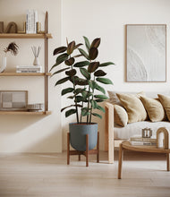 Load image into Gallery viewer, Iron Gray stand:walnut