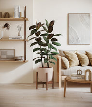 Load image into Gallery viewer, Sandy Pink stand:walnut