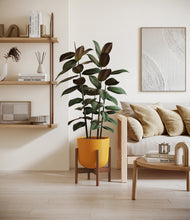 Load image into Gallery viewer, Sunset Orange stand:walnut