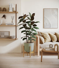 Load image into Gallery viewer, Sage Green stand:bamboo