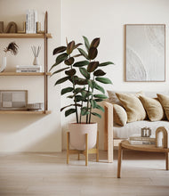 Load image into Gallery viewer, Sandy Pink stand:bamboo