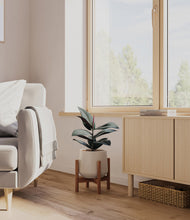 Load image into Gallery viewer, Eternal Gray stand:walnut