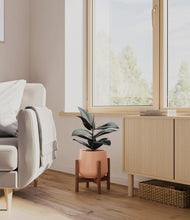 Load image into Gallery viewer, Calm Rose stand:walnut