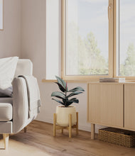 Load image into Gallery viewer, Almond Green stand:bamboo