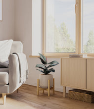Load image into Gallery viewer, Eternal Gray stand:bamboo