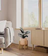 Load image into Gallery viewer, Gentle Pink stand:bamboo