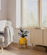 Load image into Gallery viewer, Mustard stand:bamboo
