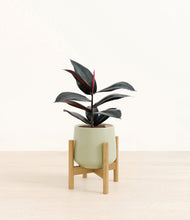Load image into Gallery viewer, Turquoise stand:bamboo