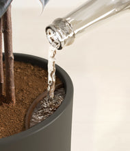 Load image into Gallery viewer, Dark Olive stand:all