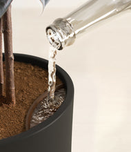 Load image into Gallery viewer, Black stand:all