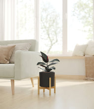 Load image into Gallery viewer, Black stand:bamboo