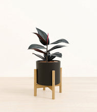 Load image into Gallery viewer, Black stand:bamboo