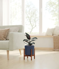 Load image into Gallery viewer, Deep Navy stand:walnut