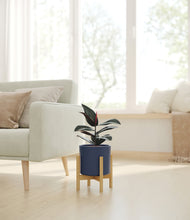 Load image into Gallery viewer, Deep Navy stand:bamboo