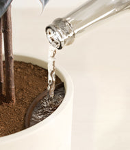 Load image into Gallery viewer, Cream stand:all