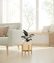 Load image into Gallery viewer, Cream stand:bamboo