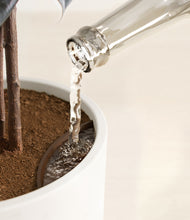 Load image into Gallery viewer, White stand:all