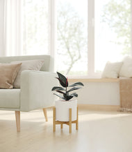 Load image into Gallery viewer, White stand:bamboo