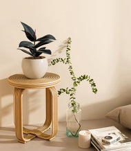 Load image into Gallery viewer, Shiny EggWhite