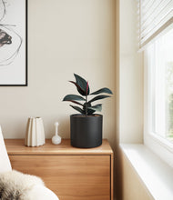 Load image into Gallery viewer, Black