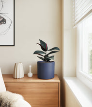 Load image into Gallery viewer, Deep Navy