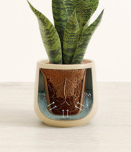 Load image into Gallery viewer, Almond Green