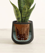 Load image into Gallery viewer, Black