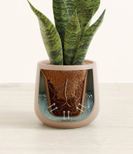 Load image into Gallery viewer, Eternal Gray