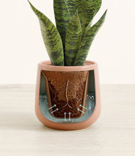 Load image into Gallery viewer, Calm Rose