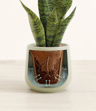 Load image into Gallery viewer, Turquoise