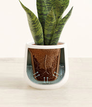 Load image into Gallery viewer, White