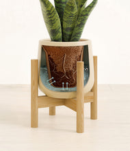 Load image into Gallery viewer, Almond Green stand:bamboo