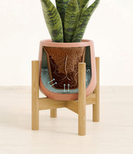 Load image into Gallery viewer, Calm Rose stand:bamboo