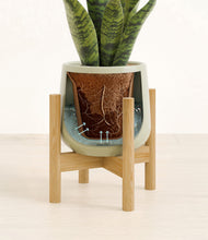 Load image into Gallery viewer, Turquoise stand:bamboo