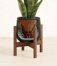 Load image into Gallery viewer, Black stand:walnut