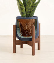 Load image into Gallery viewer, Deep Navy stand:walnut